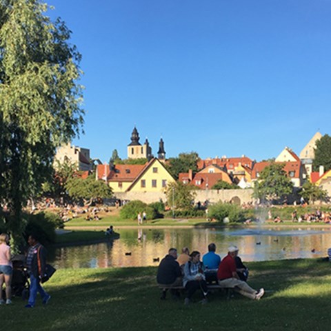 hus i naturmiljö med damm i förgrunden