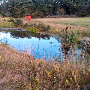En damm vid åkermark, foto.
