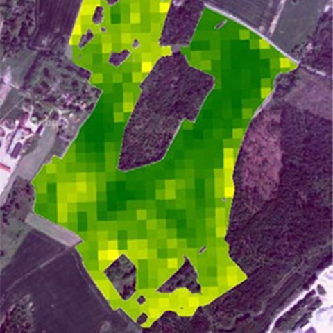 KArta över odlingsmark, illustration..