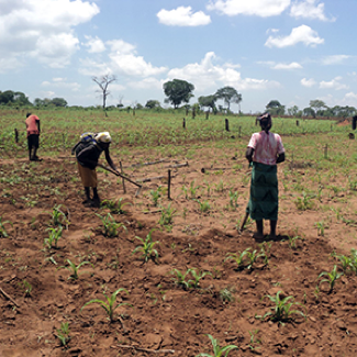 Two persons on a field with red soil, photo.