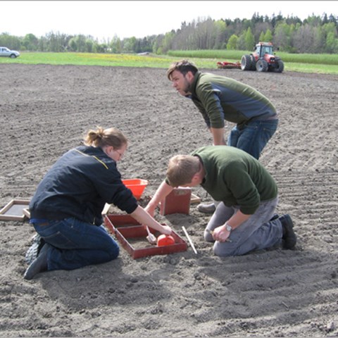 Tre personer på ett fält tar prover, foto.
