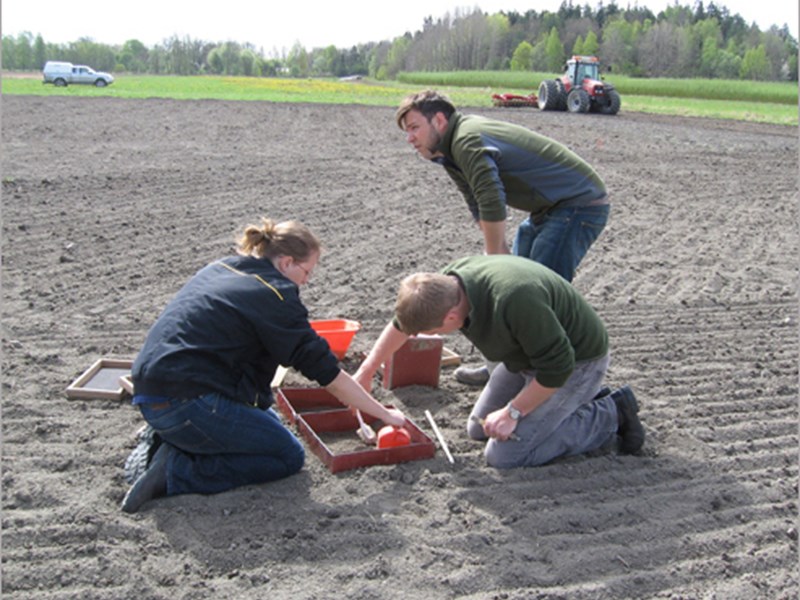 Three people on a field takes samples, photo.
