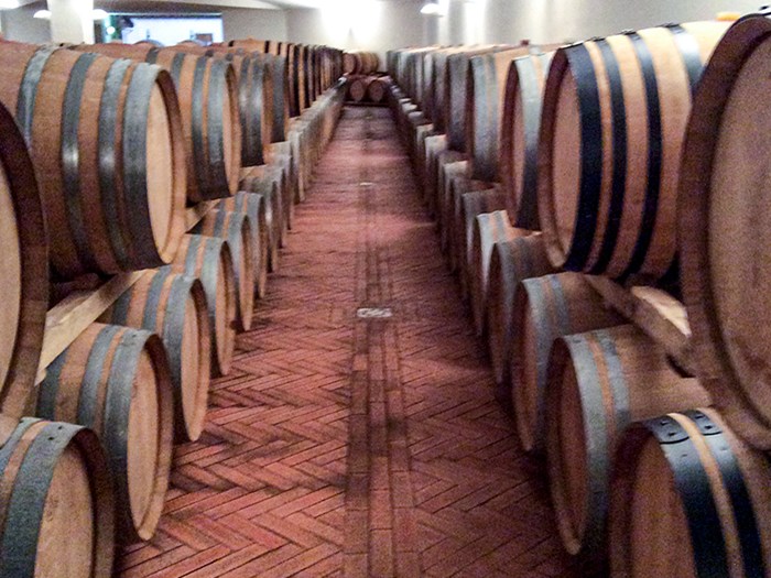 Wine barrels in long rows indoors, photo.