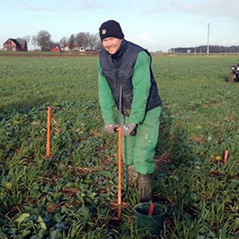 En man med en spade på ett grönt fält, foto.