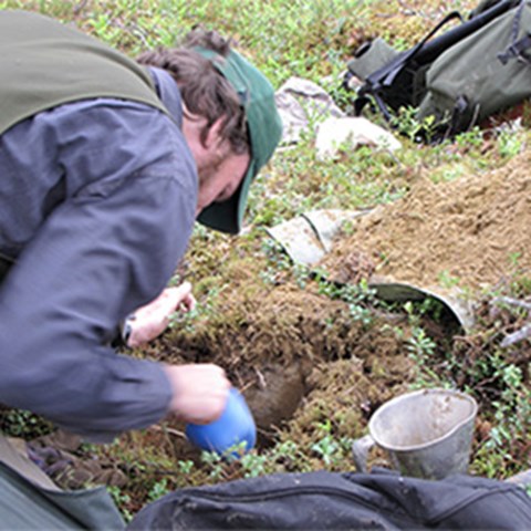 A man leans over the ground and takes samples, photo.