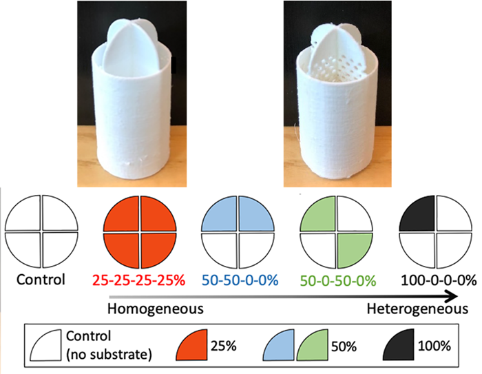Experimental set up and 3D-printed cylinders. Illustration/ Photo.