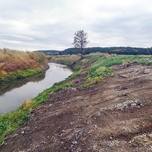 A ditch in agricultural land recently maintained, with a tree by the horizon, photo.