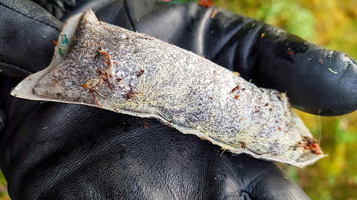 En hand med svart handske håller i en avlång, fylld påse i skogsmiljö. Foto.
