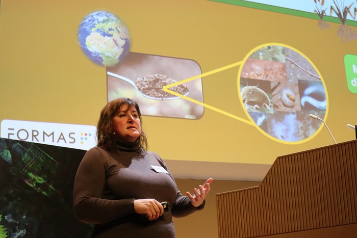 Anke Herrmann på scenen framför en storbildsskärm