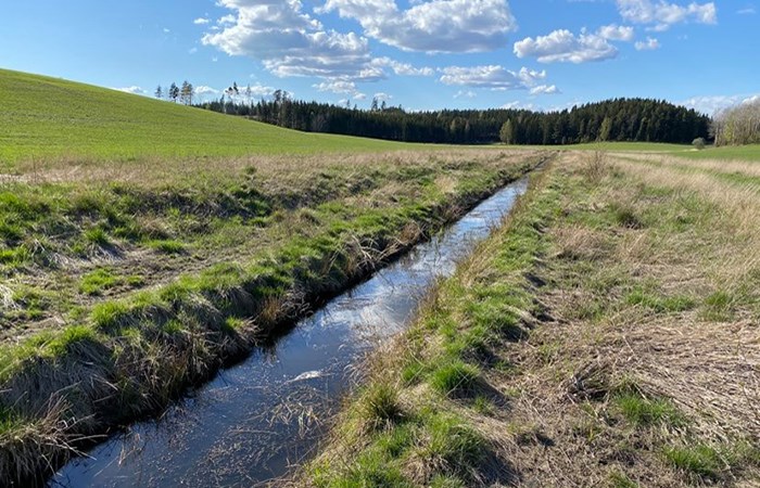 tvåstegsdiken