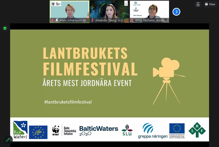 skärmdump av ett möte i zoom. Personer i överkanten och en presentation nedanför i grönt.
