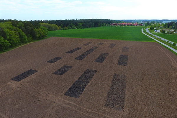 drönarbild över åkermark med arealer av biokol utspridd i rektanglar.