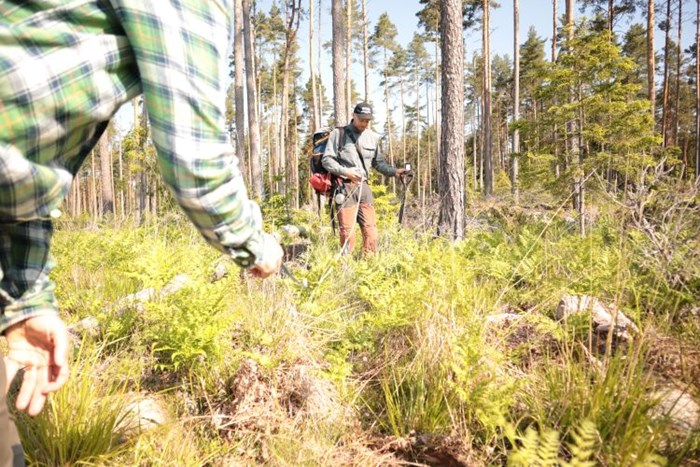 fältarbetare i skogen