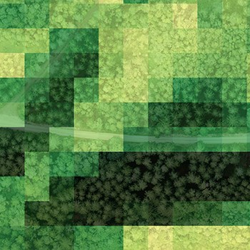 flygbild över skog med grönt filter 