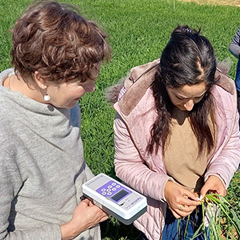 two women working in the field
