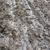 frozen bare soil