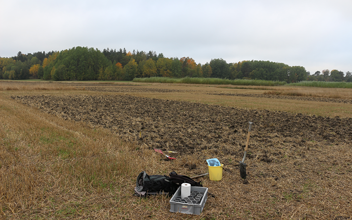 jordbruksmark med skog och himmel i bakgrunden. Verktyg i förgrunden.