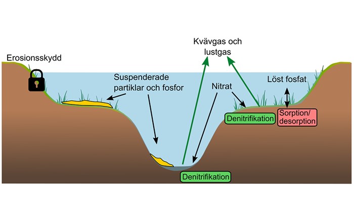 Figur som beskriver processer i tvåstegsdike