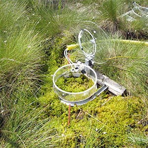 A transparent round container on grassland outdoors, photo.