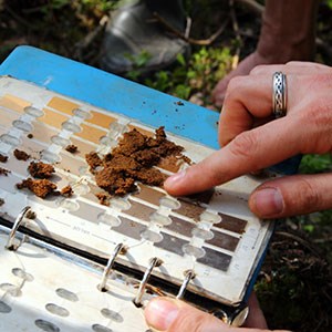 A soil sample is compared to a color map, photo.