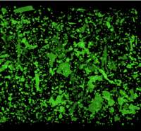 Green formations, illustration.