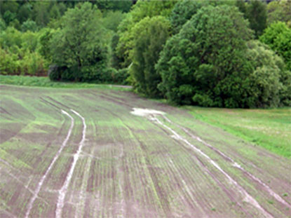 Agricultural land, photo.
