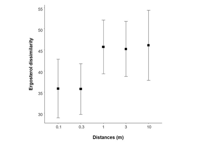 A diagram showing ergosterol and distance, illustration.