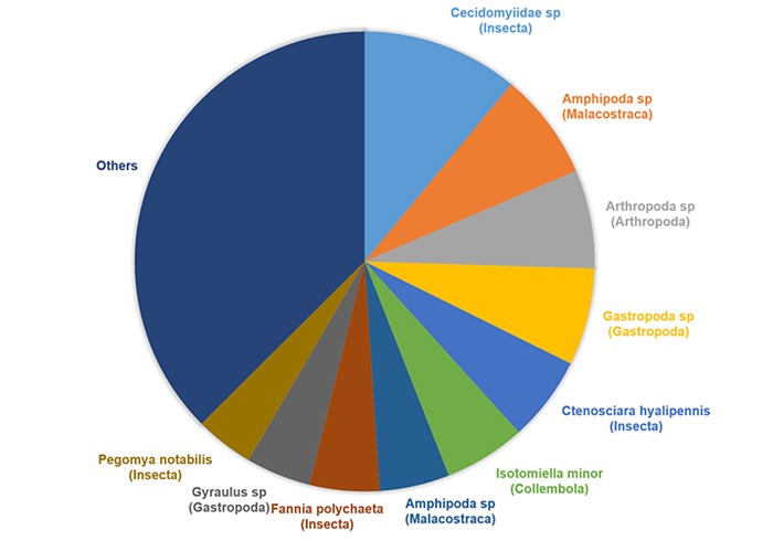 A pie chart showing different animal groups, illustration.