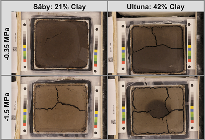 Four containers with different types of clay, photo.