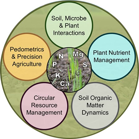 Cirkel som i text visar alla ämnesområden som markens näringsomsättning omfattar. i mitten syns en gröda i jordbruksmark.