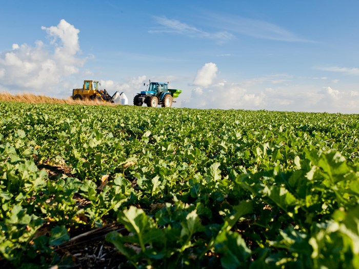  28/5000 A tractor in a field, photo.