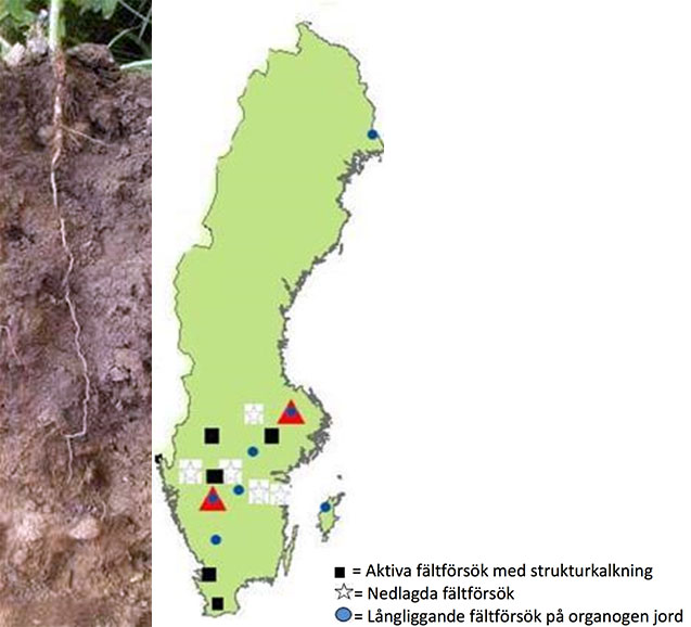 En Sverigekarta bredvid en jordprofil, illustration.