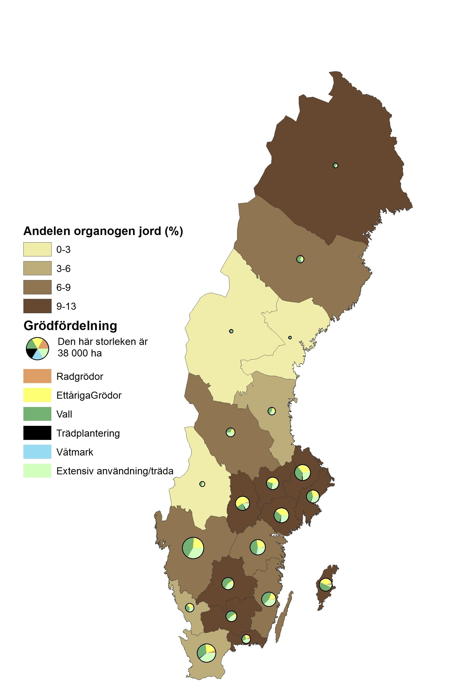 En Sverige-karta, illustration.