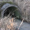Drainage culvert outlet. Photo.