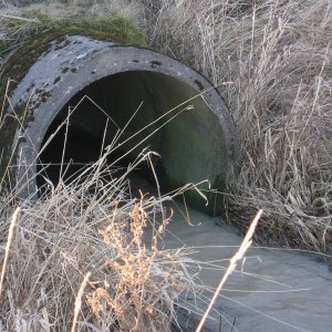 Drainage culvert outlet. Photo.