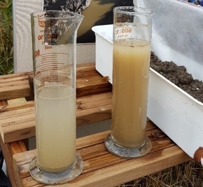 Water samples showing sediment content. Photo.