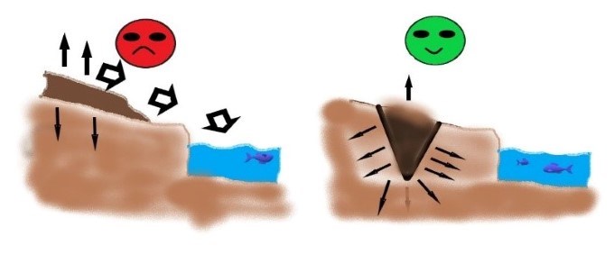 Principal illustration of subsurface application of manure.