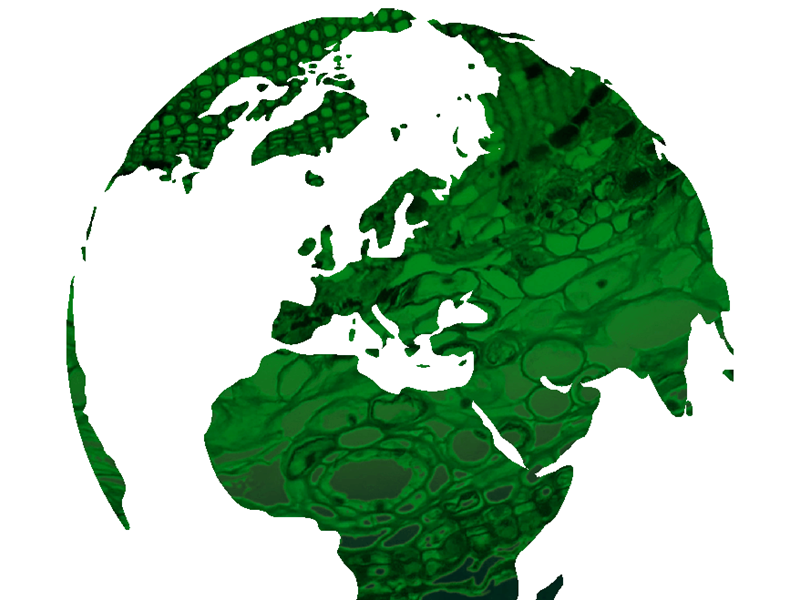 illustration av jordglob i grönt