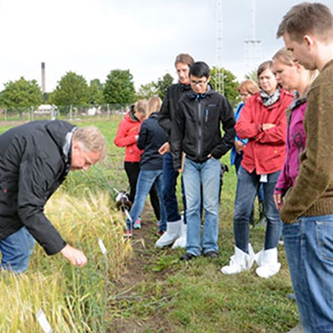 Several people watching a man that is bending down by a plant outdoors, photo.