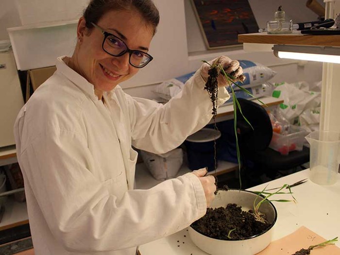 A woman at a lab bench, photo.