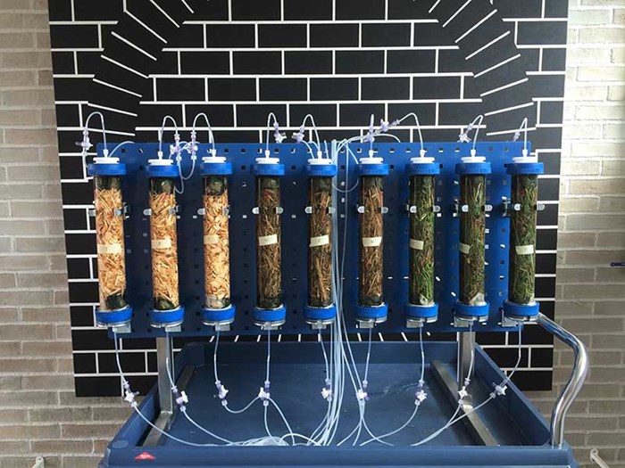 Soil samples in large tubes against a wall, photo.