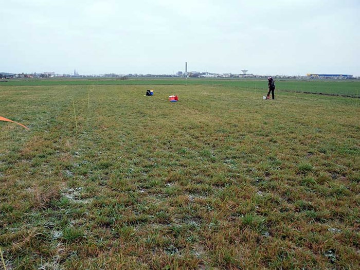 Green field under a grey sky, photo.