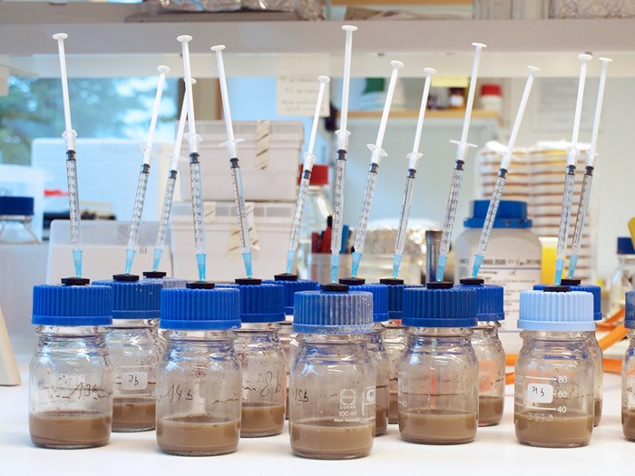 Bottles with blue caps in a laboratory, photo.