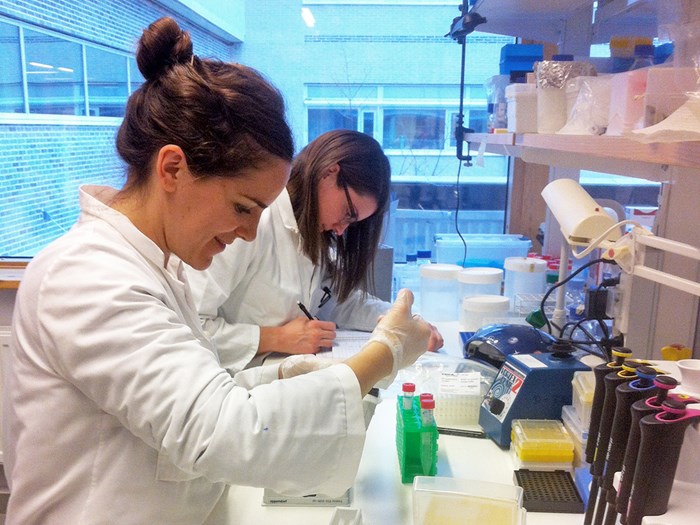 Two amiling women are pipetting in a laboratory, photo.
