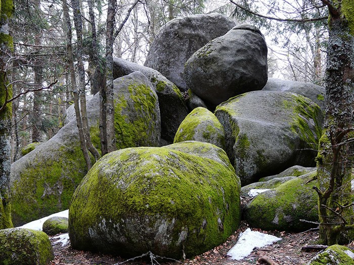 Boulders in a forest with patches of snow on the ground. Photo. 