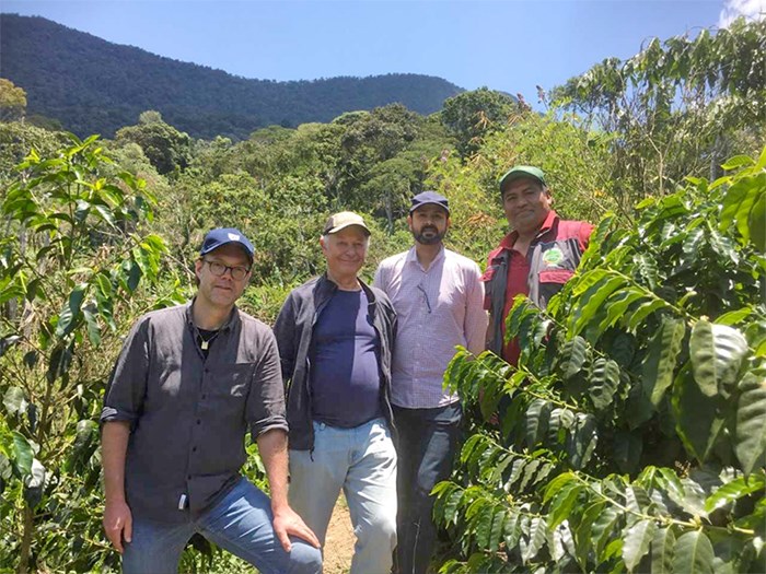 Fyra män står i ett kaffeplantage. Foto.