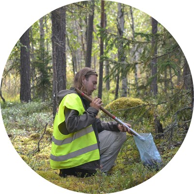En man sitter ner i en skog och samlar in något i en plastpåse. Foto.