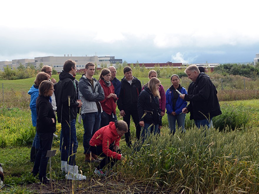 A group of people standing in a field, photo.