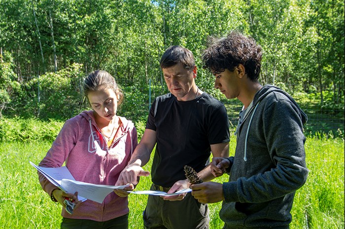 77/5000 Three people outdoors with spruce cones in their hands are looking down at a piece of paper. Photo.