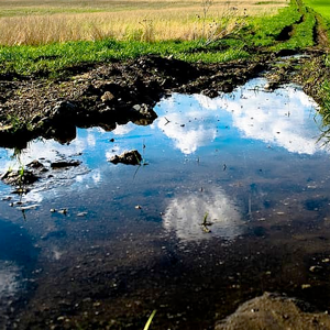 REflection of the sky in a puddle in an agricultural field. Photo.